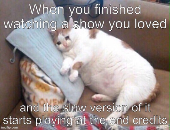 :( | When you finished watching a show you loved; and the slow version of it starts playing at the end credits | image tagged in crying cat | made w/ Imgflip meme maker