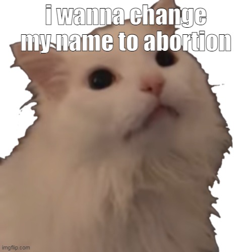 xd | i wanna change my name to abortion | image tagged in transparent thurston waffles | made w/ Imgflip meme maker