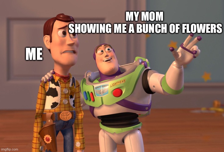 :( | MY MOM 
SHOWING ME A BUNCH OF FLOWERS; ME | image tagged in memes,x x everywhere,flowers | made w/ Imgflip meme maker
