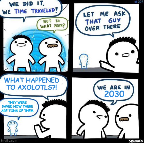 lettuce hope this rumor is true | WHAT HAPPENED TO AXOLOTLS?! 2030; THEY WERE SAVED NOW THERE ARE TONS OF THEM | image tagged in we did it we time traveled,axolotl | made w/ Imgflip meme maker