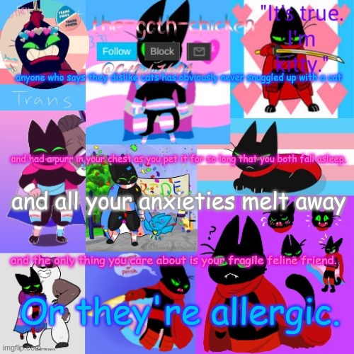 anyone who says they dislike cats has obviously never snuggled up with a cat; and had a purr in your chest as you pet it for so long that you both fall asleep, and all your anxieties melt away; and the only thing you care about is your fragile feline friend. Or they're allergic. | image tagged in the-goth-chicken's announcement template 23 | made w/ Imgflip meme maker