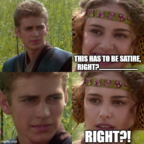 Anakin Padme 4 Panel | THIS HAS TO BE SATIRE, RIGHT?............................ RIGHT?! | image tagged in anakin padme 4 panel | made w/ Imgflip meme maker