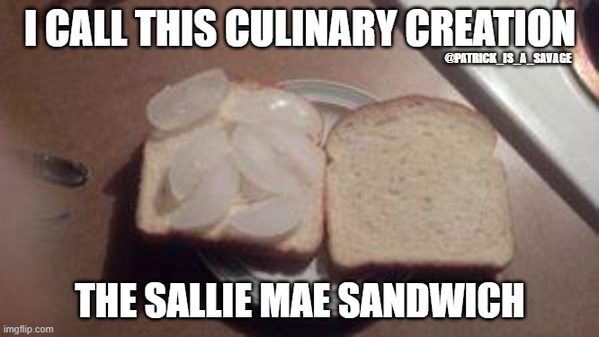 Ice cubes on bread | I CALL THIS CULINARY CREATION; @PATRICK_IS_A_SAVAGE; THE SALLIE MAE SANDWICH | image tagged in poor,homeless,student loans,student,funny memes,food | made w/ Imgflip meme maker