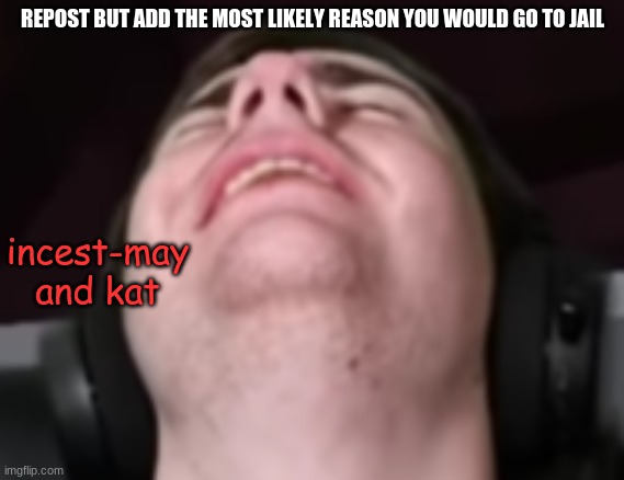 sapnap erection | REPOST BUT ADD THE MOST LIKELY REASON YOU WOULD GO TO JAIL; incest-may and kat | image tagged in sapnap erection | made w/ Imgflip meme maker