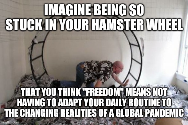 Those Who Do Not Move Do Not Notice Their Chains | IMAGINE BEING SO STUCK IN YOUR HAMSTER WHEEL; THAT YOU THINK "FREEDOM" MEANS NOT HAVING TO ADAPT YOUR DAILY ROUTINE TO THE CHANGING REALITIES OF A GLOBAL PANDEMIC | image tagged in human hamster wheel,improvise adapt overcome,change,cycle,evolution,revolution | made w/ Imgflip meme maker