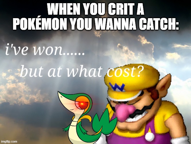 i wanted to catch a buneary but critical killied it :( | WHEN YOU CRIT A POKÉMON YOU WANNA CATCH: | image tagged in i have won but at what cost | made w/ Imgflip meme maker