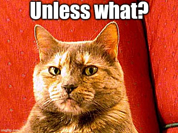 Suspicious Cat Meme | Unless what? | image tagged in memes,suspicious cat | made w/ Imgflip meme maker