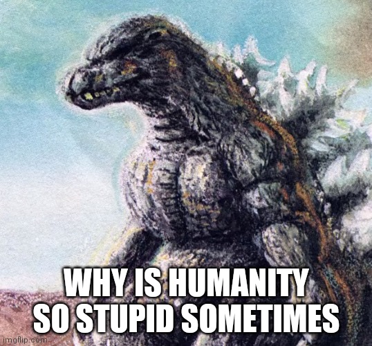Sad Godzilla | WHY IS HUMANITY SO STUPID SOMETIMES | image tagged in sad godzilla | made w/ Imgflip meme maker