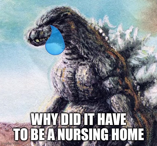 Sad Godzilla | WHY DID IT HAVE TO BE A NURSING HOME | image tagged in sad godzilla | made w/ Imgflip meme maker