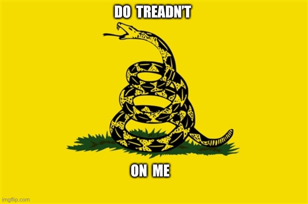 Gadsden Flag 2021 | DO  TREADN’T; ON  ME | image tagged in dont tread on me,gadsden flag,memes,political meme | made w/ Imgflip meme maker