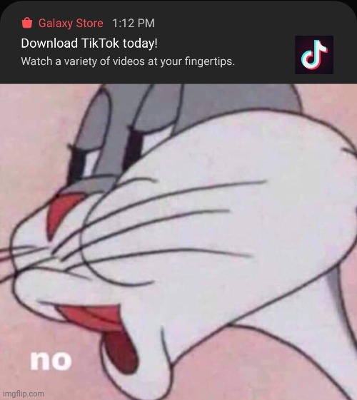tiktok is bad | image tagged in no bugs bunny | made w/ Imgflip meme maker