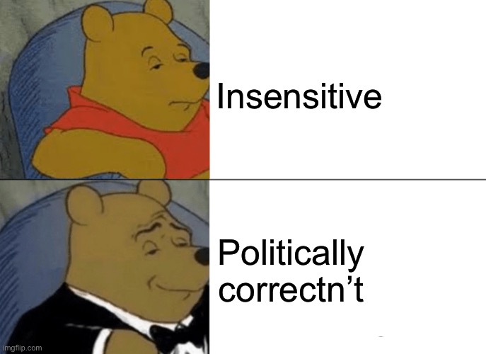 Tuxedo Winnie The Pooh | Insensitive; Politically correctn’t | image tagged in memes,tuxedo winnie the pooh | made w/ Imgflip meme maker
