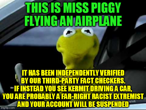 An original for this was done with fruit, but I just had to expand it a bit | THIS IS MISS PIGGY
FLYING AN AIRPLANE; IT HAS BEEN INDEPENDENTLY VERIFIED BY OUR THIRD-PARTY FACT CHECKERS.
IF INSTEAD YOU SEE KERMIT DRIVING A CAR,
YOU ARE PROBABLY A FAR-RIGHT RACIST EXTREMIST
AND YOUR ACCOUNT WILL BE SUSPENDED | image tagged in kermit car,political correctness,facebook apple google microsoft,corrupt woke tech firm censorship,mainstream media,trump 2020 | made w/ Imgflip meme maker