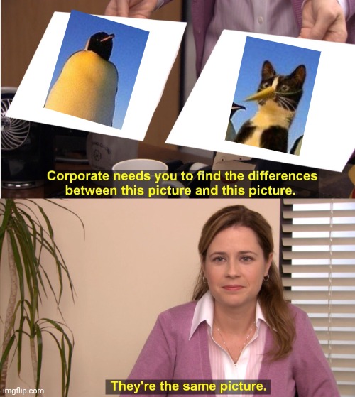 They're The Same Picture Meme | image tagged in memes,they're the same picture | made w/ Imgflip meme maker