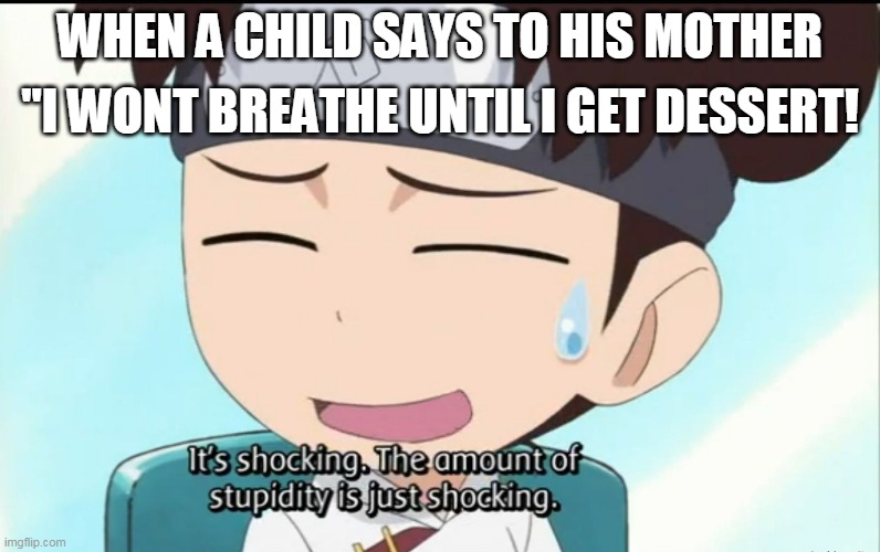 The amount of stupidity is just shocking | "I WONT BREATHE UNTIL I GET DESSERT! WHEN A CHILD SAYS TO HIS MOTHER | image tagged in the amount of stupidity is just shocking | made w/ Imgflip meme maker