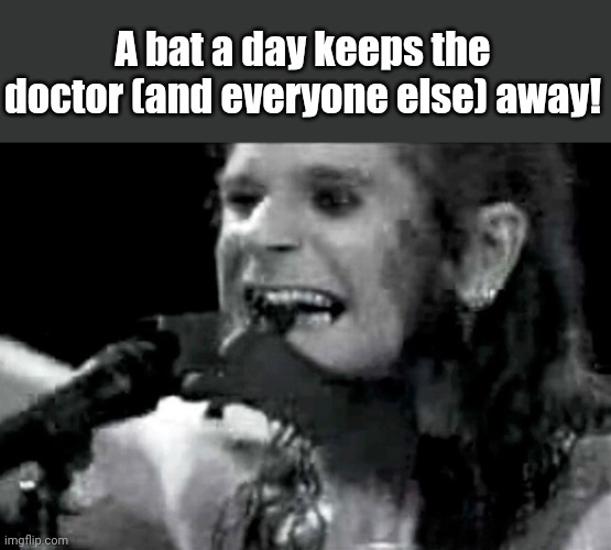 Ozzy biting bat | A bat a day keeps the doctor (and everyone else) away! | image tagged in ozzy biting bat | made w/ Imgflip meme maker