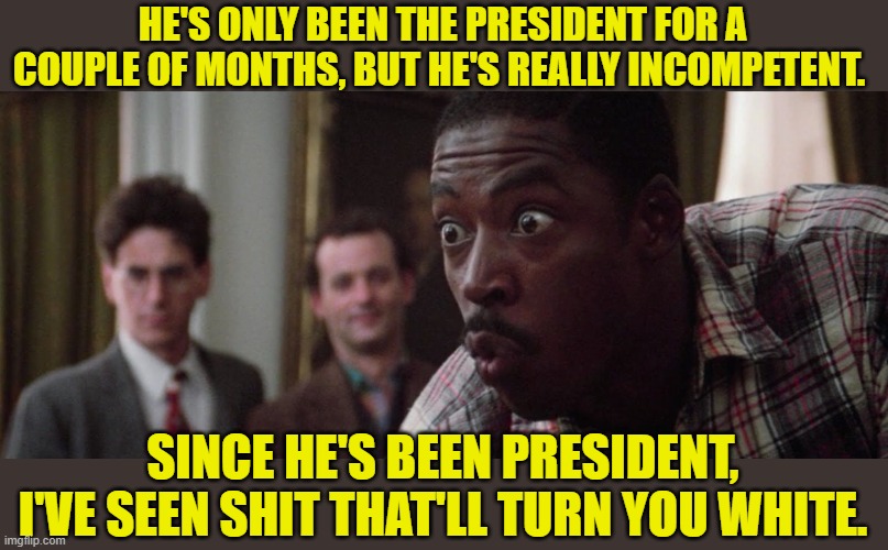 Dr. Winston Zeddemore's opinion of Joe's performance. | HE'S ONLY BEEN THE PRESIDENT FOR A COUPLE OF MONTHS, BUT HE'S REALLY INCOMPETENT. SINCE HE'S BEEN PRESIDENT, I'VE SEEN SHIT THAT'LL TURN YOU WHITE. | image tagged in turn you white,biden,failure,incompetent | made w/ Imgflip meme maker