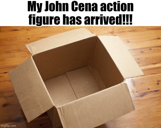 What do you all think? |  My John Cena action figure has arrived!!! | image tagged in empty box,john cena,you can't see me,box,memes | made w/ Imgflip meme maker