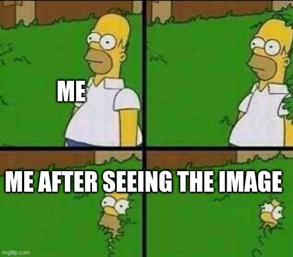 Homer Simpson Nope | ME ME AFTER SEEING THE IMAGE | image tagged in homer simpson nope | made w/ Imgflip meme maker