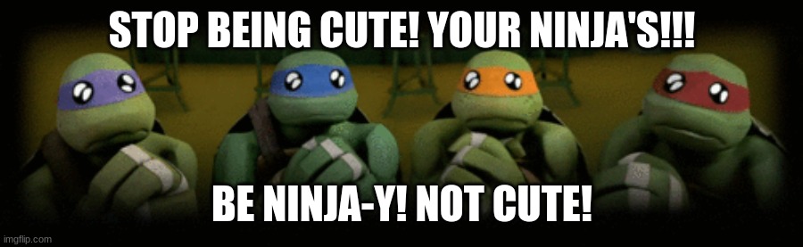 STOP BEING CUTE! |  STOP BEING CUTE! YOUR NINJA'S!!! BE NINJA-Y! NOT CUTE! | image tagged in tmnt,2012,adorable,teenage mutant ninja turtles,ninja,turtles | made w/ Imgflip meme maker