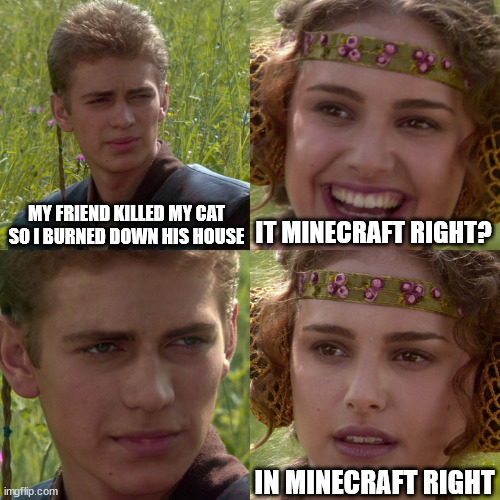 Anakin Padme 4 Panel | MY FRIEND KILLED MY CAT SO I BURNED DOWN HIS HOUSE; IT MINECRAFT RIGHT? IN MINECRAFT RIGHT | image tagged in anakin padme 4 panel | made w/ Imgflip meme maker