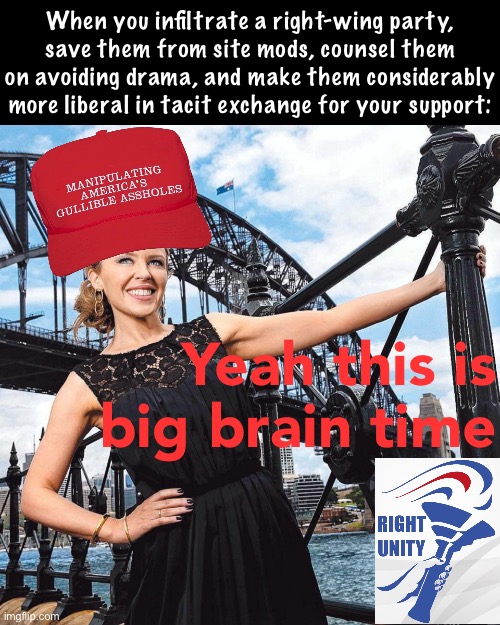 MAGA Kylie Sydney Bridge | Yeah this is big brain time When you infiltrate a right-wing party, save them from site mods, counsel them on avoiding drama, and make them  | image tagged in maga kylie sydney bridge | made w/ Imgflip meme maker