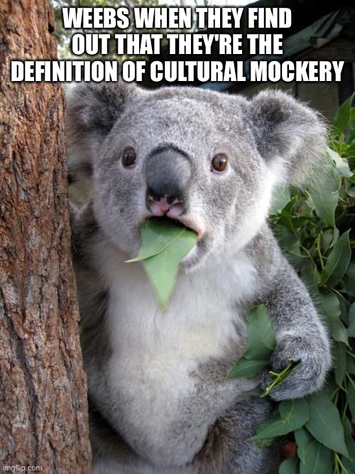 Stupid weebs |  WEEBS WHEN THEY FIND OUT THAT THEY'RE THE DEFINITION OF CULTURAL MOCKERY | image tagged in memes,surprised koala,weebs,stupid,aaa | made w/ Imgflip meme maker