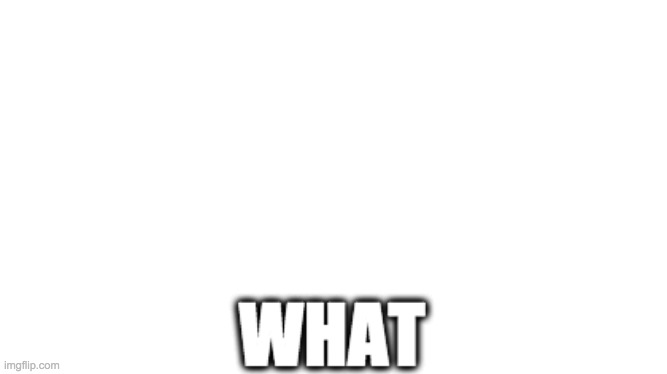 what | image tagged in what,e | made w/ Imgflip meme maker
