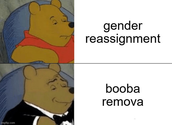 Tuxedo Winnie The Pooh Meme | gender reassignment; booba remova | image tagged in memes,tuxedo winnie the pooh | made w/ Imgflip meme maker