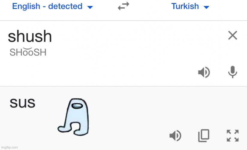 OMG SO SUS | image tagged in sus,turkish | made w/ Imgflip meme maker