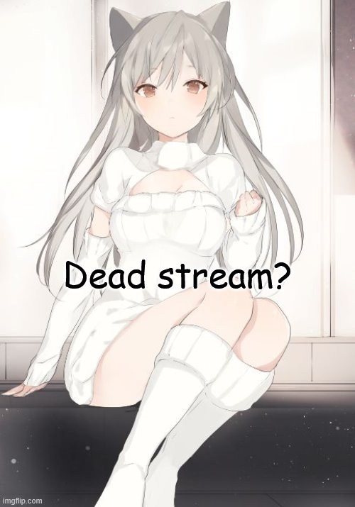 Dead? | Dead stream? | image tagged in neko anime girl | made w/ Imgflip meme maker