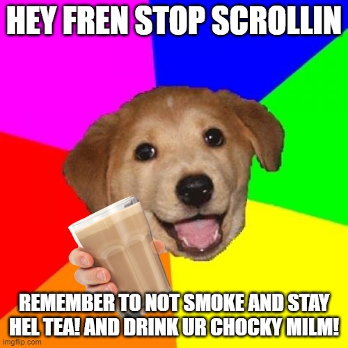 hi fren! am not cat but stay sayfe! | HEY FREN STOP SCROLLIN; REMEMBER TO NOT SMOKE AND STAY HEL TEA! AND DRINK UR CHOCKY MILM! | image tagged in memes,advice dog | made w/ Imgflip meme maker