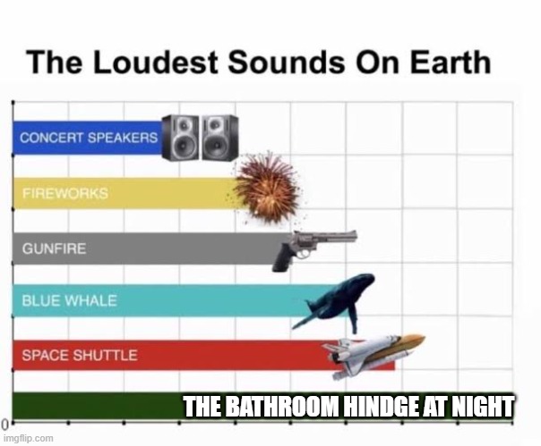 The Loudest Sounds on Earth | THE BATHROOM HINDGE AT NIGHT | image tagged in the loudest sounds on earth | made w/ Imgflip meme maker