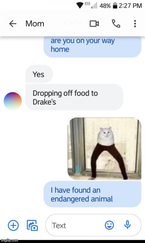 Me texting | image tagged in i found this,cursed image | made w/ Imgflip meme maker