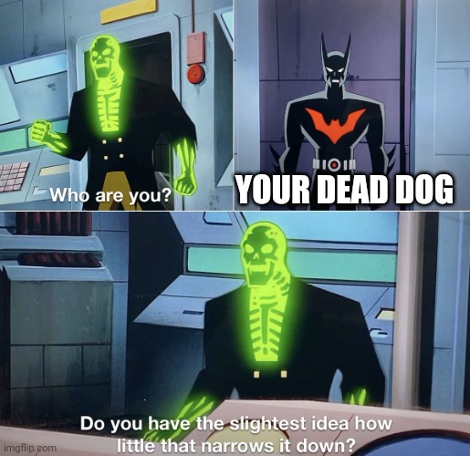 Do you have the slightest idea how little that narrows it down? | YOUR DEAD DOG | image tagged in do you have the slightest idea how little that narrows it down | made w/ Imgflip meme maker