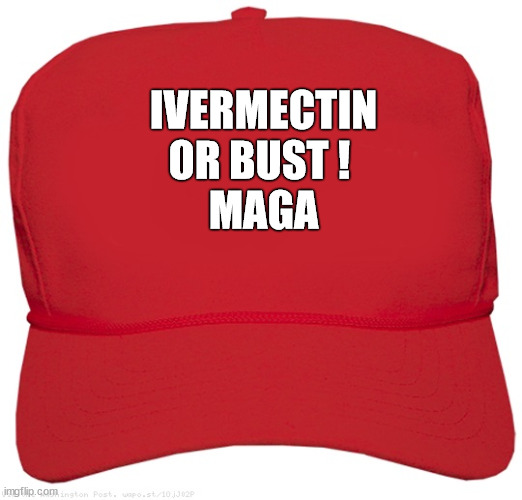 Ivermectin or bust | IVERMECTIN
OR BUST ! 
MAGA | image tagged in blank red maga hat | made w/ Imgflip meme maker
