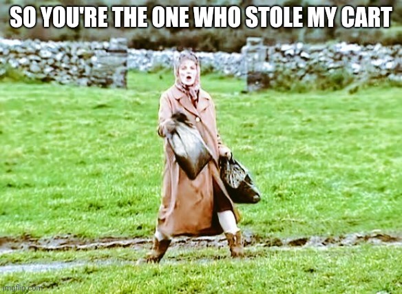 Father ted bag lady | SO YOU'RE THE ONE WHO STOLE MY CART | image tagged in father ted bag lady | made w/ Imgflip meme maker