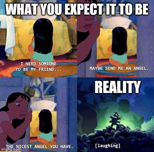 *laughs* | WHAT YOU EXPECT IT TO BE; REALITY | image tagged in send me a angel | made w/ Imgflip meme maker