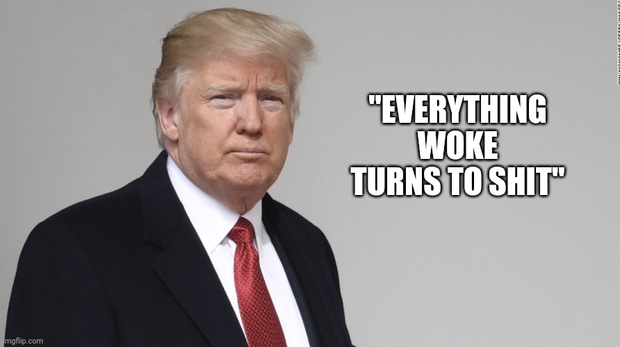 Trump | "EVERYTHING WOKE TURNS TO SHIT" | image tagged in trump | made w/ Imgflip meme maker