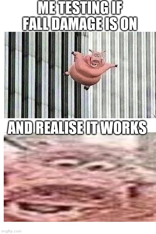 Wait it works....... AHHHHHHH | ME TESTING IF FALL DAMAGE IS ON; AND REALISE IT WORKS | image tagged in blank white template | made w/ Imgflip meme maker