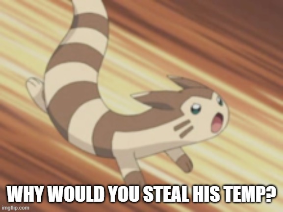 Angry Furret | WHY WOULD YOU STEAL HIS TEMP? | image tagged in angry furret | made w/ Imgflip meme maker