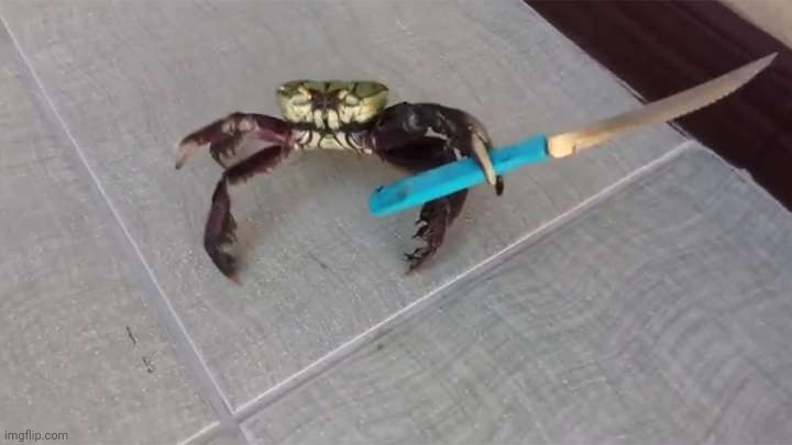 Crab knife  | image tagged in crab knife | made w/ Imgflip meme maker