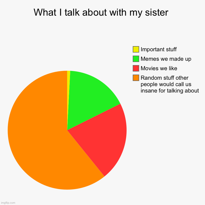 What I talk about with my sister | Random stuff other people would call us insane for talking about, Movies we like, Memes we made up, Impor | image tagged in charts,pie charts | made w/ Imgflip chart maker