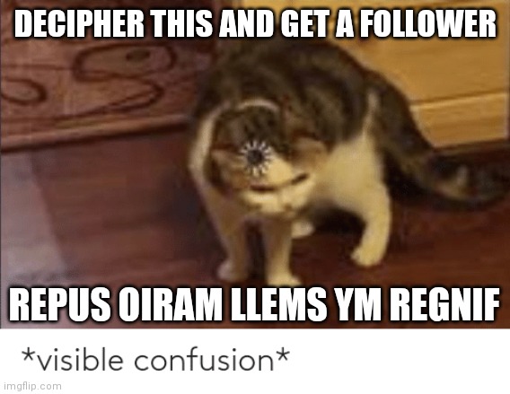 visible confusion | DECIPHER THIS AND GET A FOLLOWER; REPUS OIRAM LLEMS YM REGNIF | image tagged in visible confusion | made w/ Imgflip meme maker