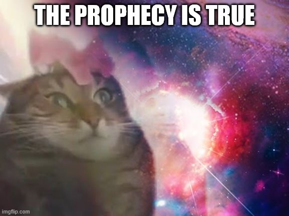 the prophecy is true cat | THE PROPHECY IS TRUE | image tagged in the prophecy is true cat | made w/ Imgflip meme maker