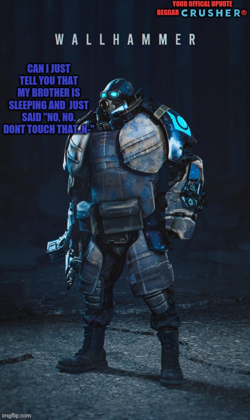 e | CAN I JUST TELL YOU THAT MY BROTHER IS SLEEPING AND  JUST SAID "NO, NO. DONT TOUCH THAT..N-" | image tagged in wallhammer offical user | made w/ Imgflip meme maker
