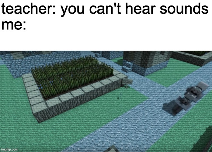 Villager News: Stop! You violated the law! | teacher: you can't hear sounds
me: | image tagged in villager news stop you violated the law | made w/ Imgflip meme maker