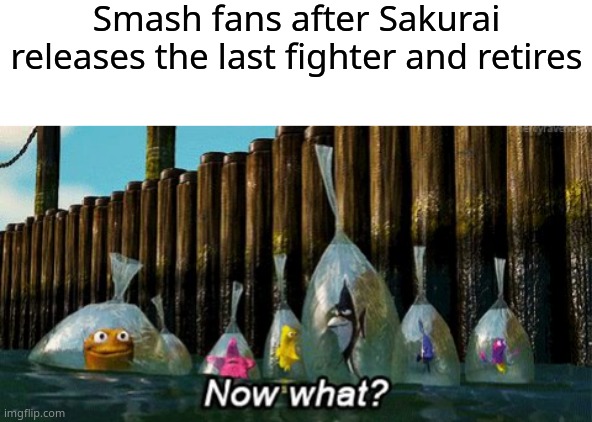 Smash fans after Sakurai releases the last fighter and retires | image tagged in blank white template,now what | made w/ Imgflip meme maker