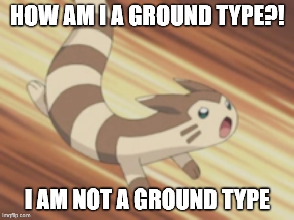 Angry Furret | HOW AM I A GROUND TYPE?! I AM NOT A GROUND TYPE | image tagged in angry furret | made w/ Imgflip meme maker