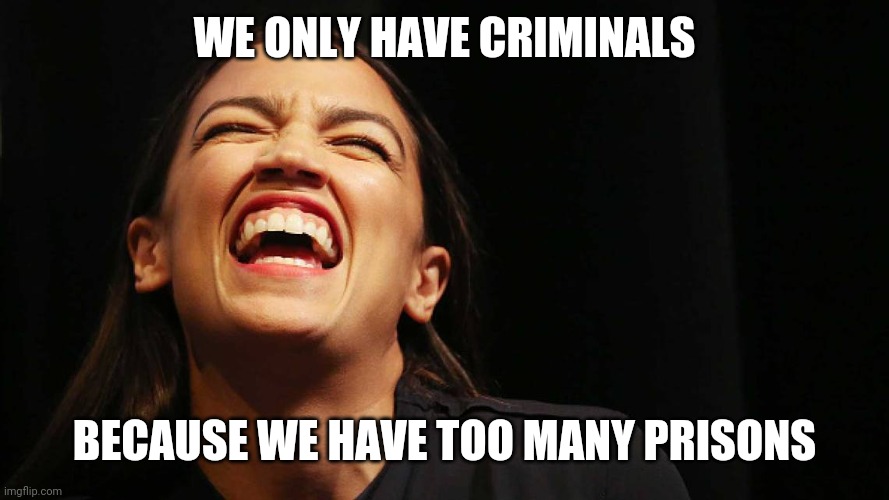 WE ONLY HAVE CRIMINALS BECAUSE WE HAVE TOO MANY PRISONS | made w/ Imgflip meme maker